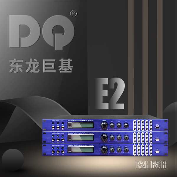 DQ音响 东龙巨基E2HF5R 处理器