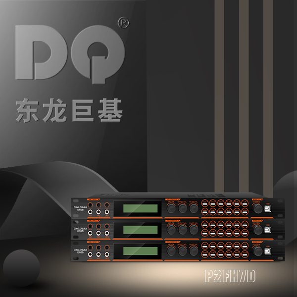 DQ音响 东龙巨基 P2FH7D 处理器