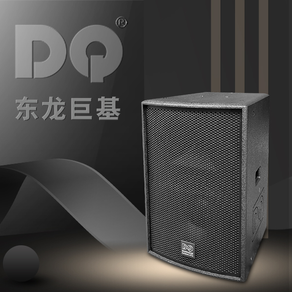 DQ音响-东龙巨基-量版T12PA 音箱