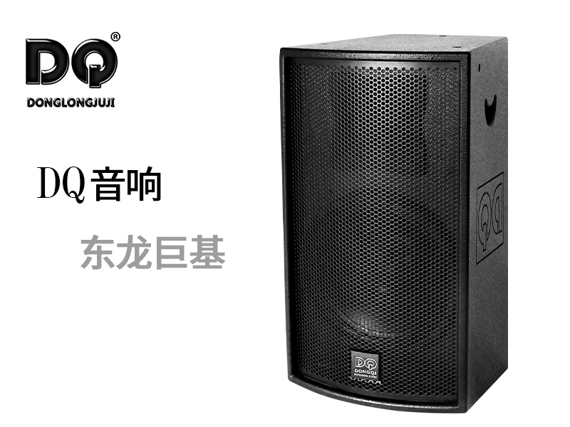 DQ音响-东龙巨基-RV2U15BN全频音箱
