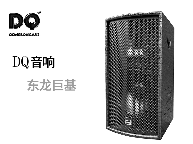 DQ音响-东龙巨基-RV2U12BN全频音箱