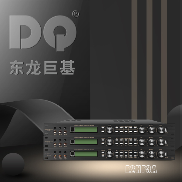 DQ音响 东龙巨基 E2HF3A 处理器