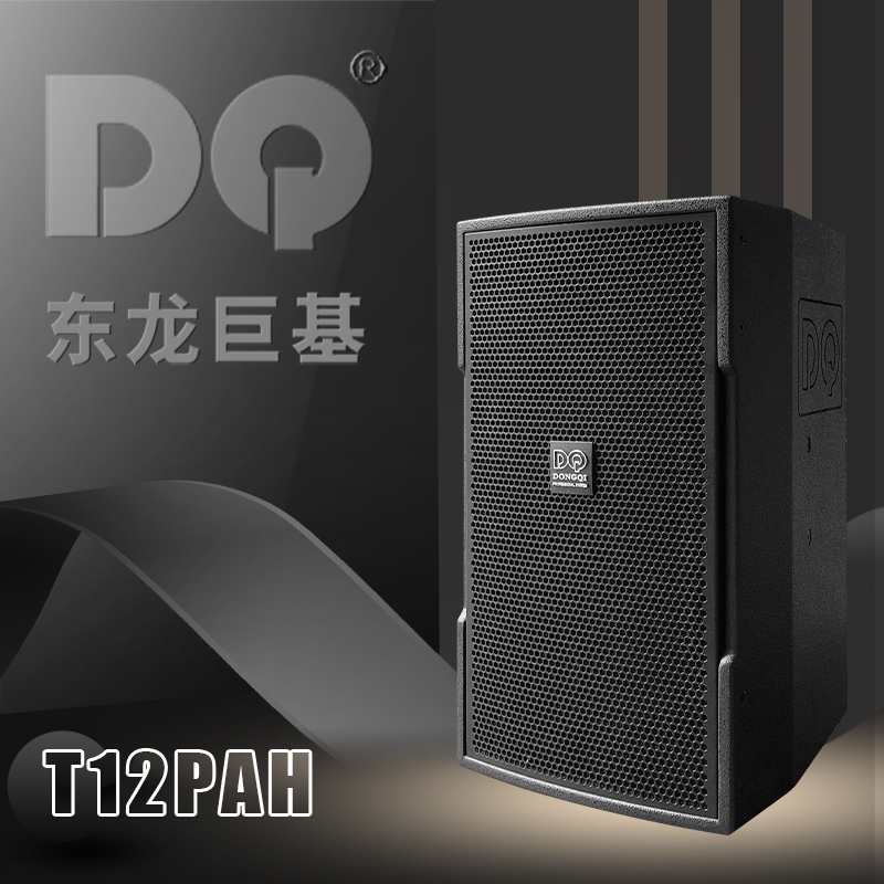 DQ音响-东龙巨基-量版T12PAH音箱