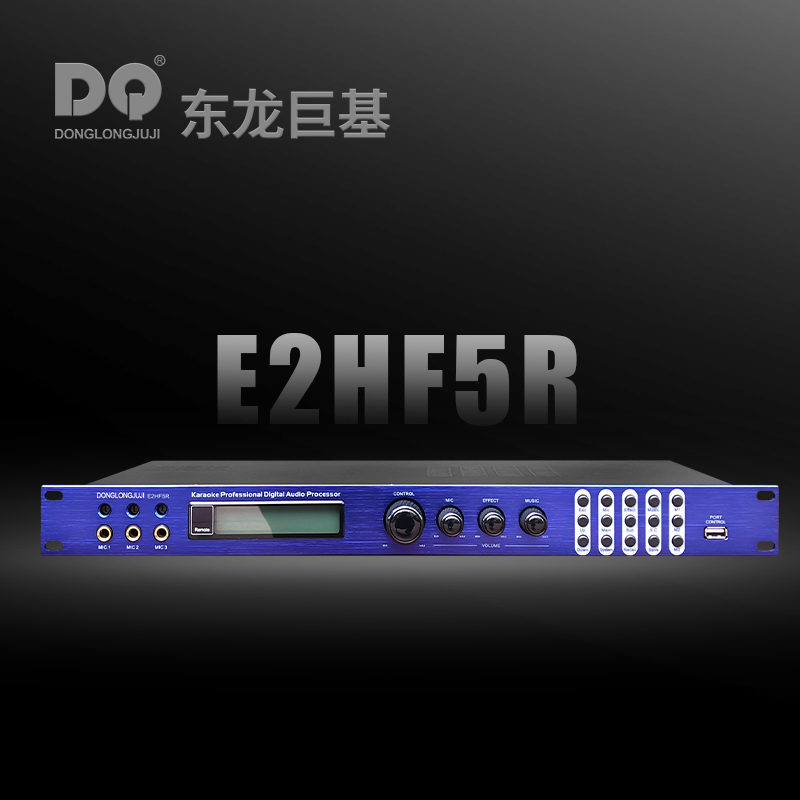 DQ音响 东龙巨基E2HF5R 处理器