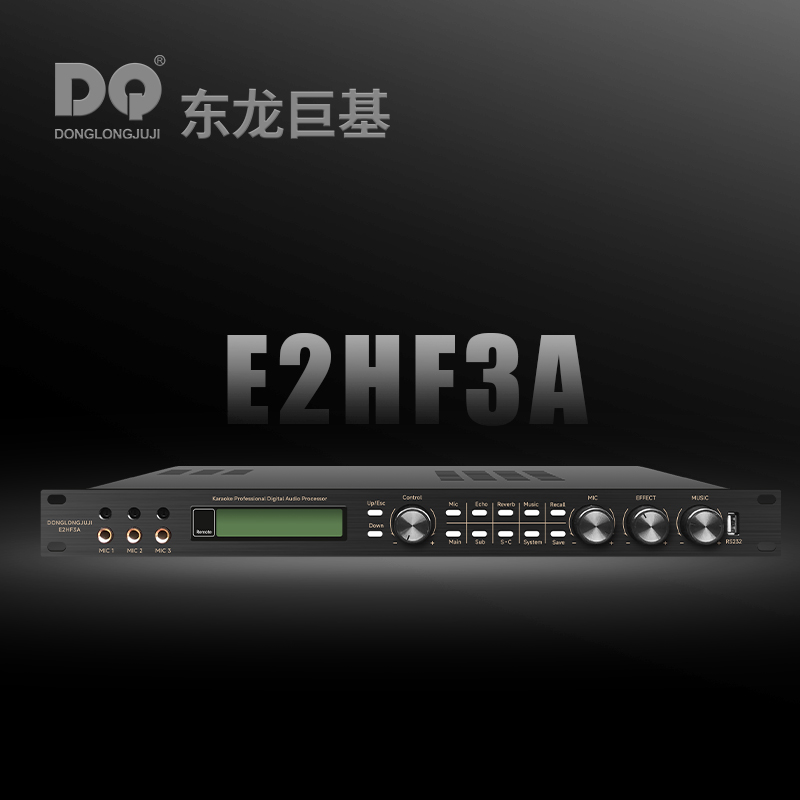DQ音响 东龙巨基 E2HF3A 处理器