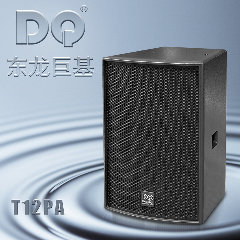 DQ音响-东龙巨基-量版T12PA 音箱
