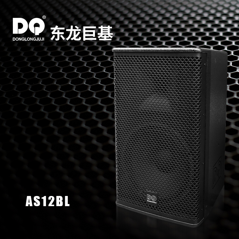 DQ音响-东龙巨基-AS12BL全频音箱