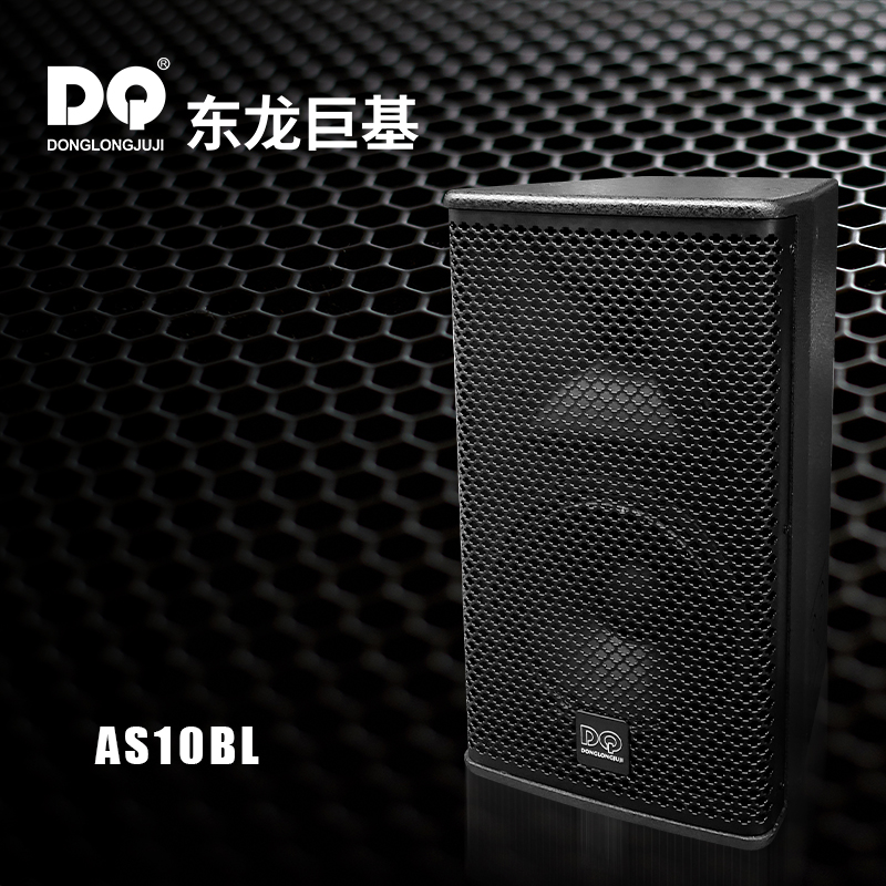 DQ音响-东龙巨基-AS10BL全频音箱