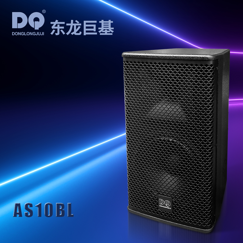 DQ音响-东龙巨基-AS10BL全频音箱